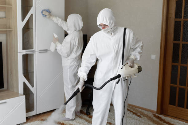 Best Post-Remediation Services in Englishtown, NJ
