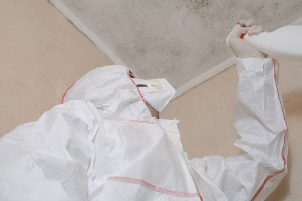 Englishtown, NJ Mold Remediation Company